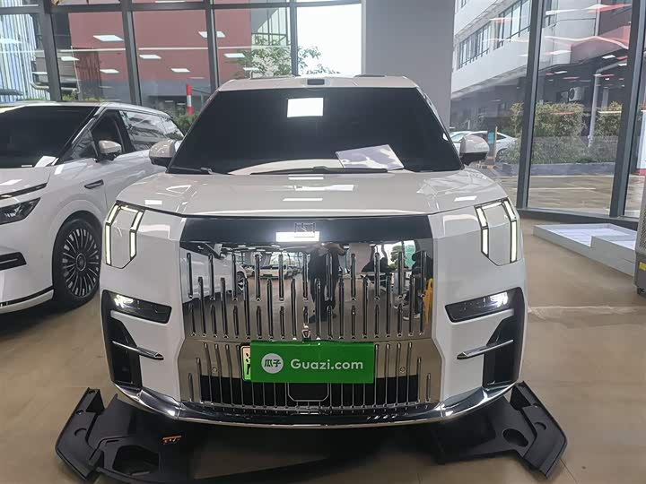 Zeekr 009 2024 2024款 七座过道版四驱 108kWh