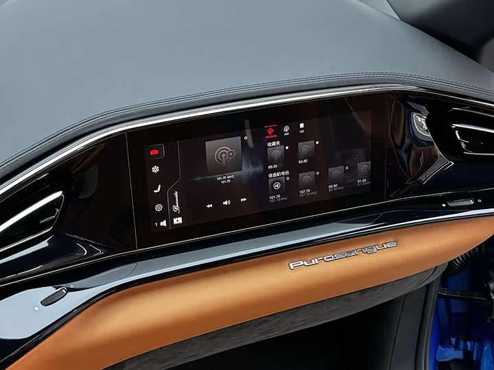 Ferrari Purosangue 2023 2023款 6.5L V12