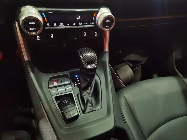 Toyota RAV4 2024 2024款 2.0L CVT两驱风尚Plus版