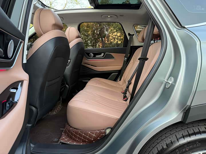 Chery Tiggo 8L 2024 2024款 2.0T 两驱尊贵版 5座