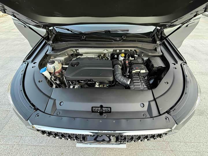 Chery Tiggo 8L 2024 2024款 2.0T 两驱尊贵版 5座