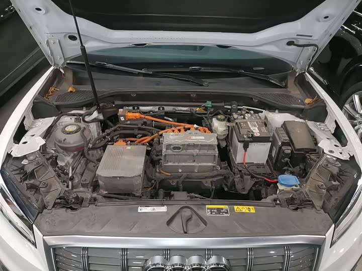 Audi Q2L e-tron 2019 2019款 Q2L e-tron 纯电智享型