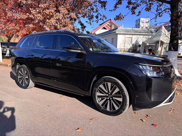 Volkswagen Teramont Pro 2025 2025款 途昂 Pro 450TSI 四驱探索版