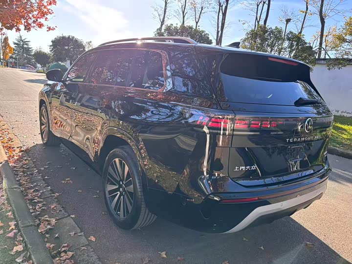 Volkswagen Teramont Pro 2025 2025款 途昂 Pro 450TSI 四驱探索版