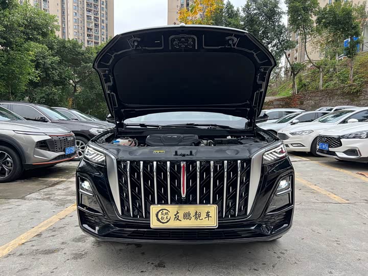Hongqi HS5 2025 2025款 2.0T 两驱旗享Pro版