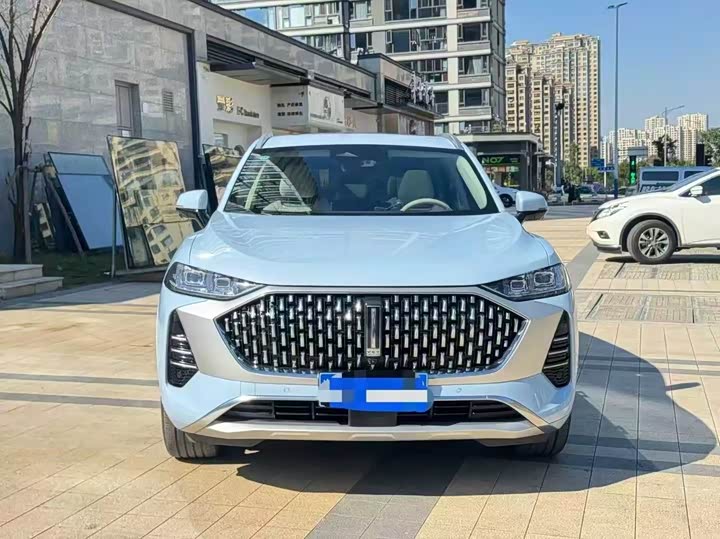 Wey Mocha 2021 2021款 2.0T 四驱特醇版