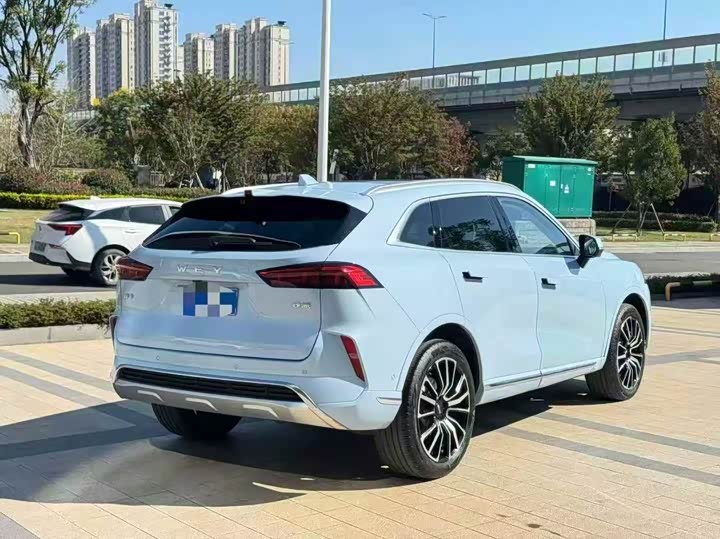 Wey Mocha 2021 2021款 2.0T 四驱特醇版