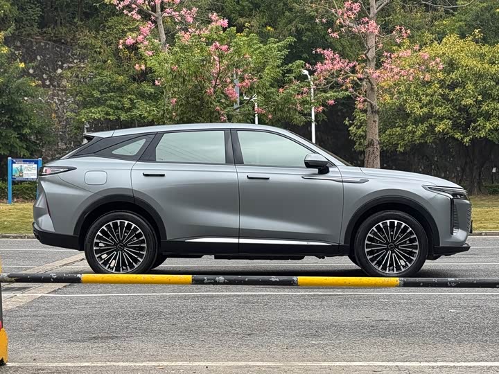 Exeed RX C-DM Hybrid 2024 2024款 1.5T 长续航Pro