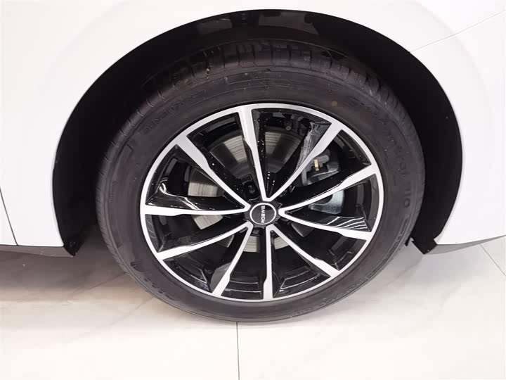 Roewe D7 2025 2025款 DMH 125km 世界冠军版