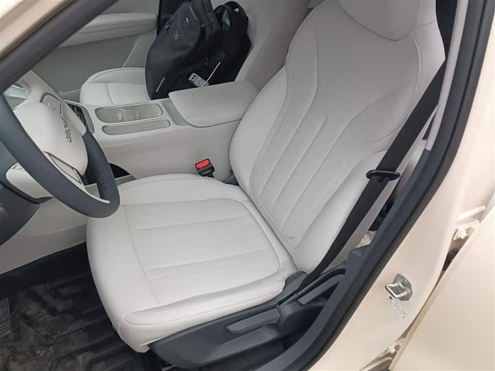 Geely Galaxy Geome 2026 2026款 410km 自由版