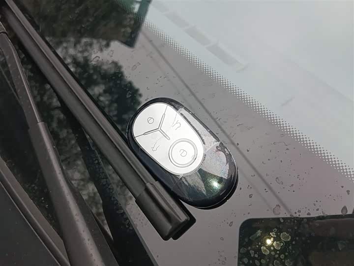 Geely Galaxy Geome 2026 2026款 410km 自由版