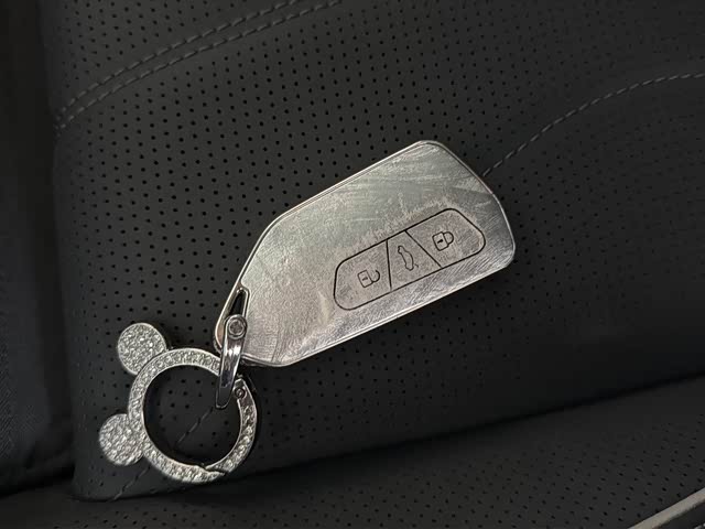 Volkswagen Teramont Pro 2025 2025款 途昂 Pro 450TSI 四驱纵横版