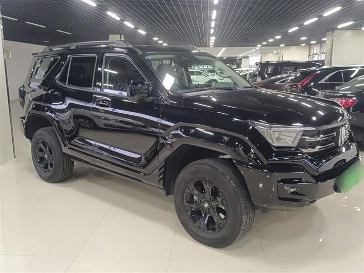 Tank 400 Hybrid 2024 2024款 Hi4-T 越野版