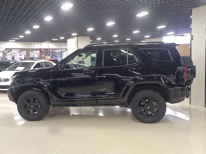 Tank 400 Hybrid 2024 2024款 Hi4-T 越野版