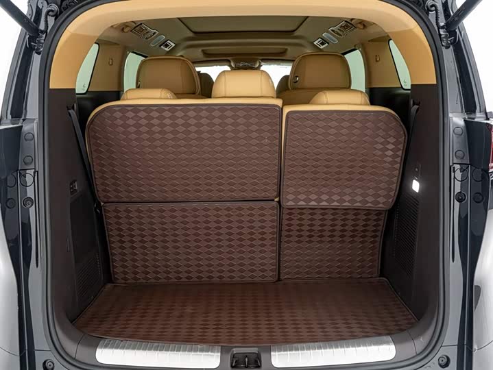 Denza D9 2025 2025款 DM-i 智驾版 1020 四驱尊享型