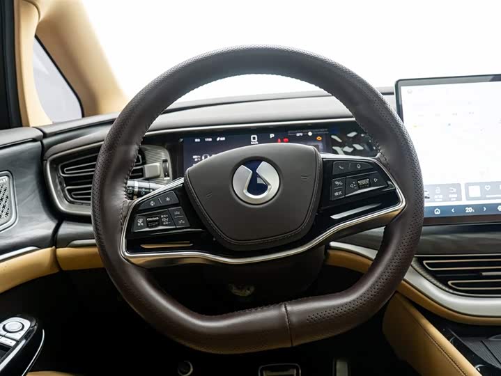 Denza D9 2025 2025款 DM-i 智驾版 1020 四驱尊享型