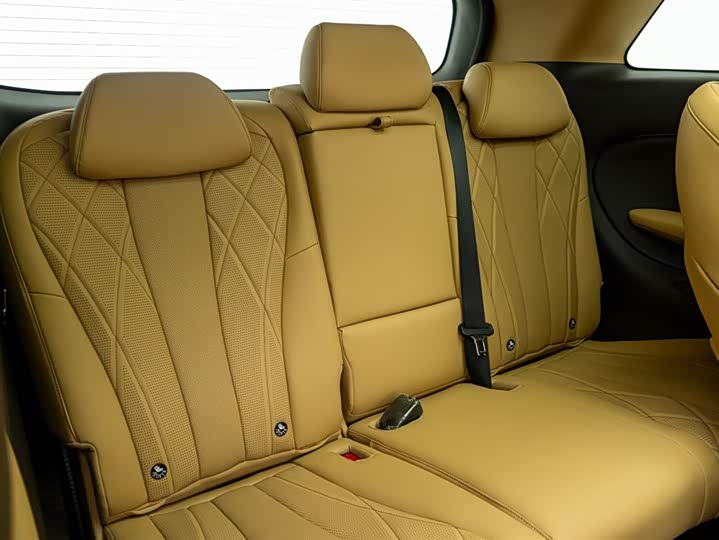 Denza D9 2025 2025款 DM-i 智驾版 1020 四驱尊享型