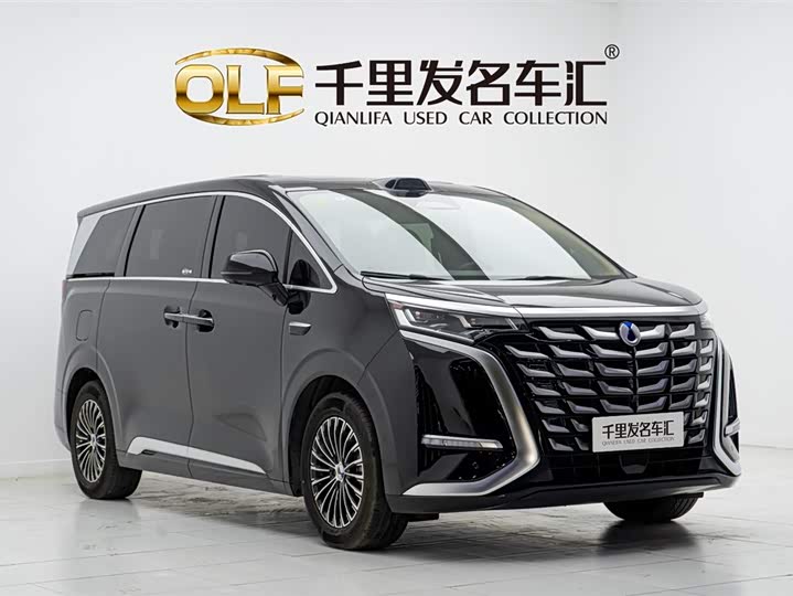 Denza D9 2025 2025款 DM-i 智驾版 1020 四驱尊享型