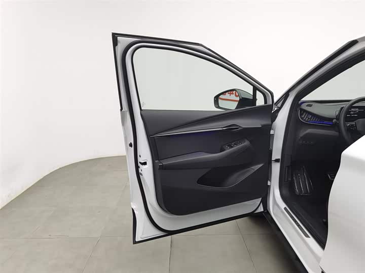 Volkswagen ID.Unyx 2024 2024款 Pro 长续航版