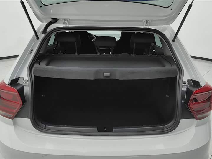 Volkswagen Polo 2023 2023款 改款 Plus 1.5L 自动纵情乐活版