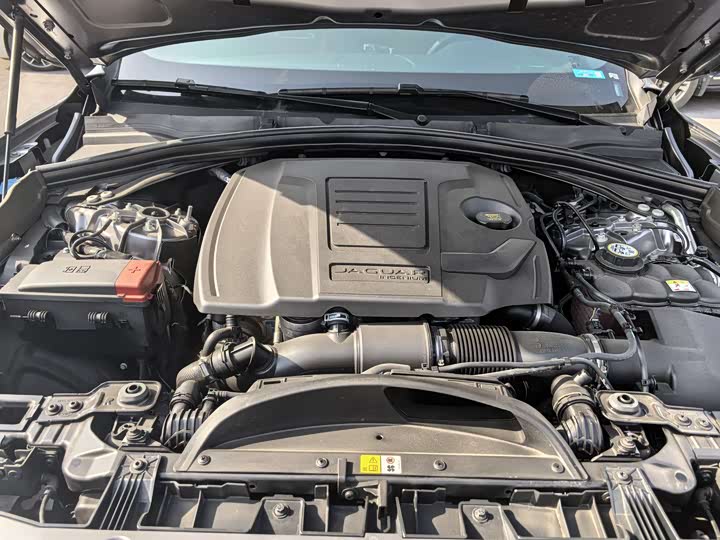 Jaguar F-Pace 2024 2024款 P250 R-Dynamic SE