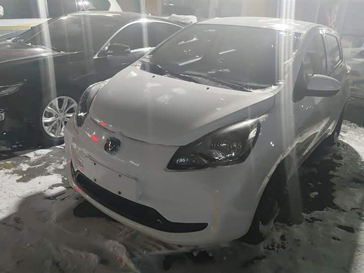 Changan BenBen E-Star 2021 2021款 国民版 多彩款 磷酸铁锂（31.95kWh）