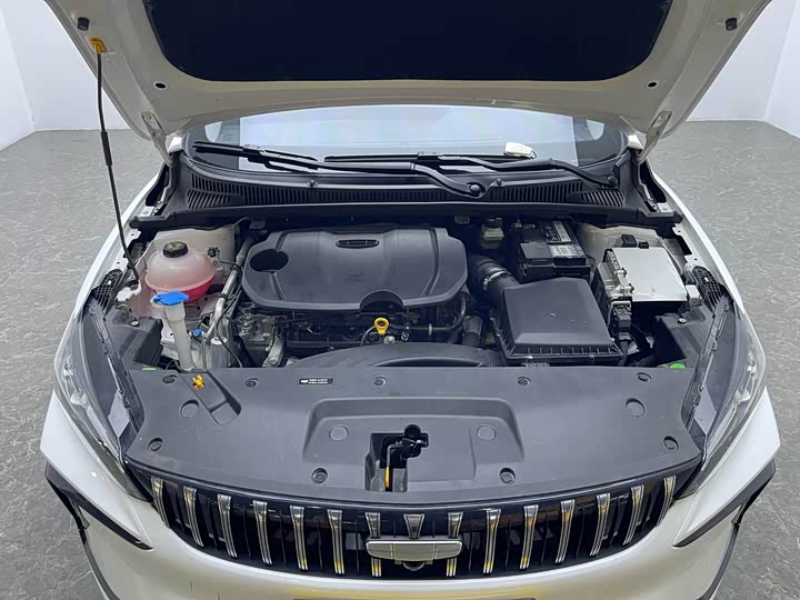 Geely Binrui 2024 2024款 缤瑞COOL 1.5T DCT龙腾版