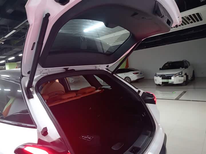 Hozon L 2024 2024款 增程 220 闪充版