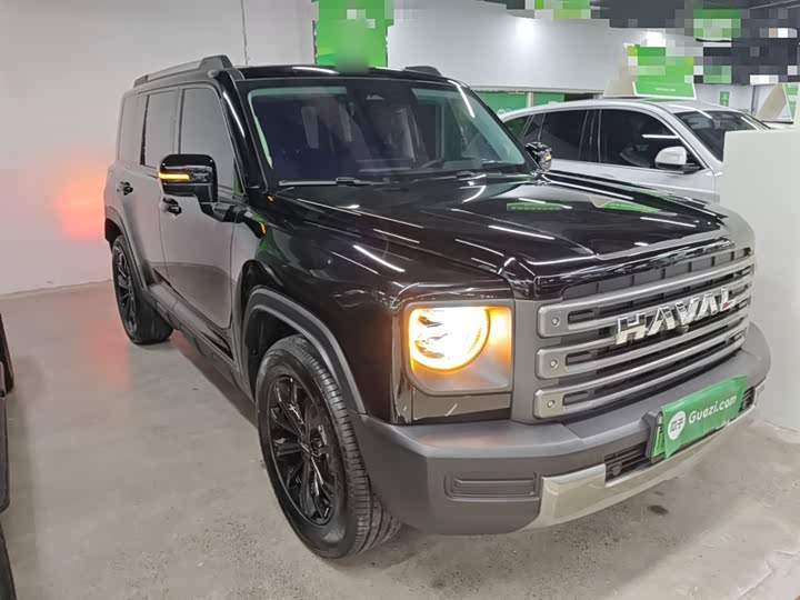 Haval Raptor Hybrid 2024 2024款 Hi4 102 Pro