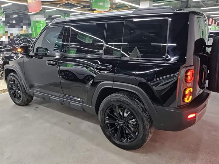 Haval Raptor Hybrid 2024 2024款 Hi4 102 Pro