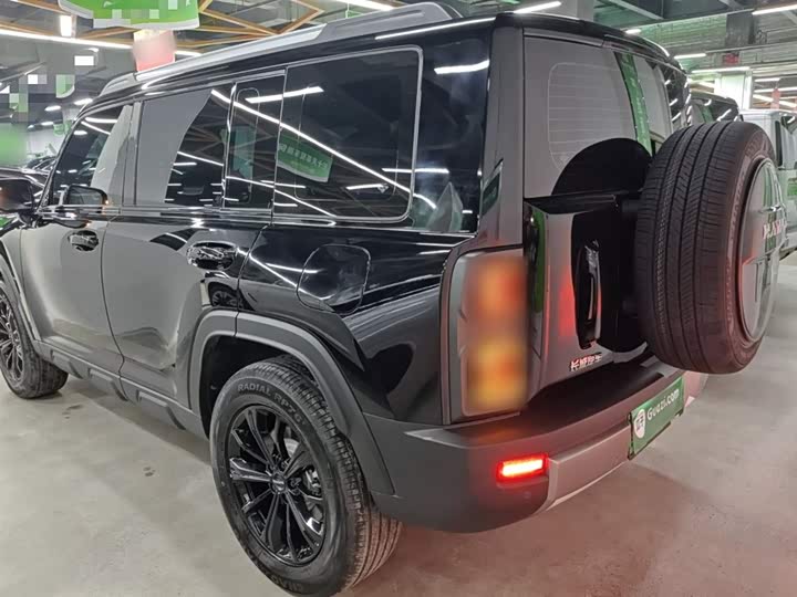 Haval Raptor Hybrid 2024 2024款 Hi4 102 Pro