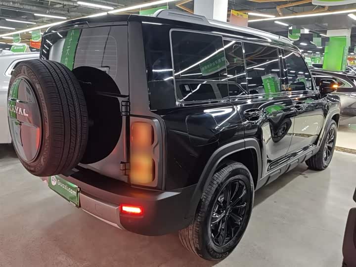 Haval Raptor Hybrid 2024 2024款 Hi4 102 Pro