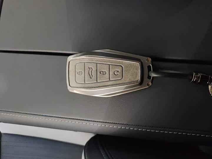 Geely Atlas L 2024 2024款 1.5TD DCT尊贵版