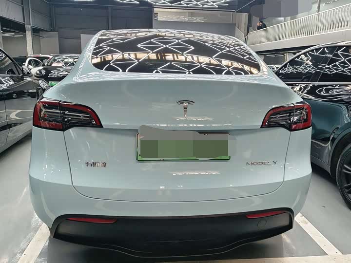 Tesla Model Y 2024 2024款 后轮驱动版