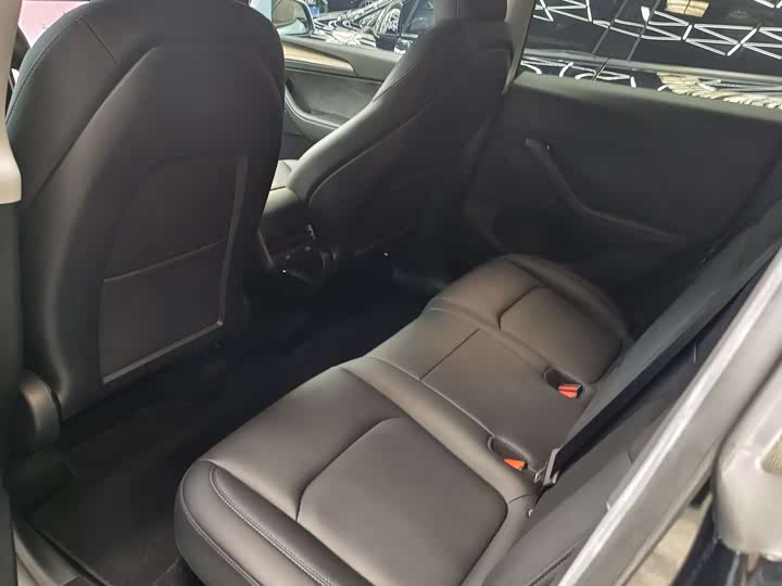 Tesla Model Y 2024 2024款 后轮驱动版