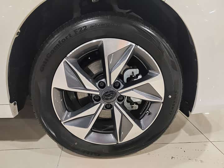 GAC Trumpchi M6 2023 2023款 PRO 270T DCT豪华版