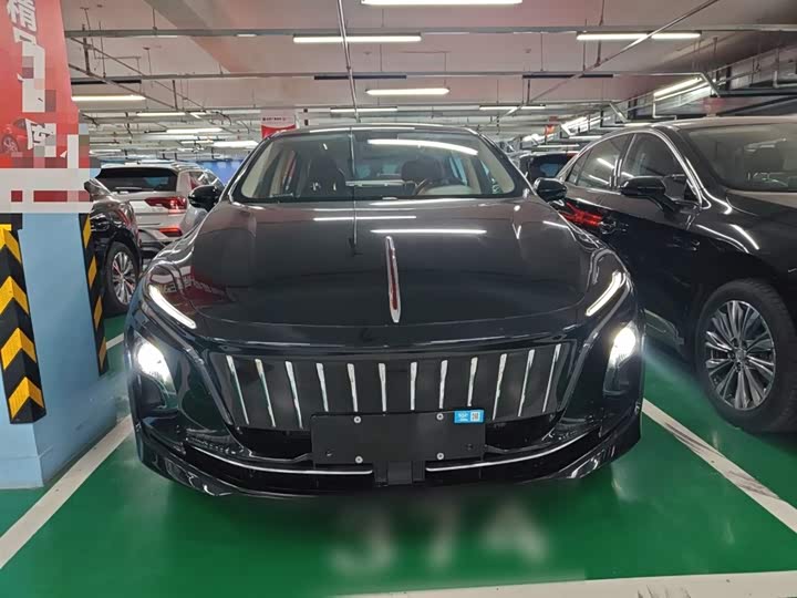 Hongqi E-QM5 2024 2024款 500km 出行版