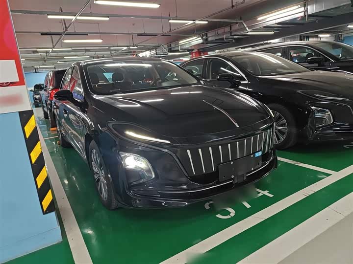 Hongqi E-QM5 2024 2024款 500km 出行版