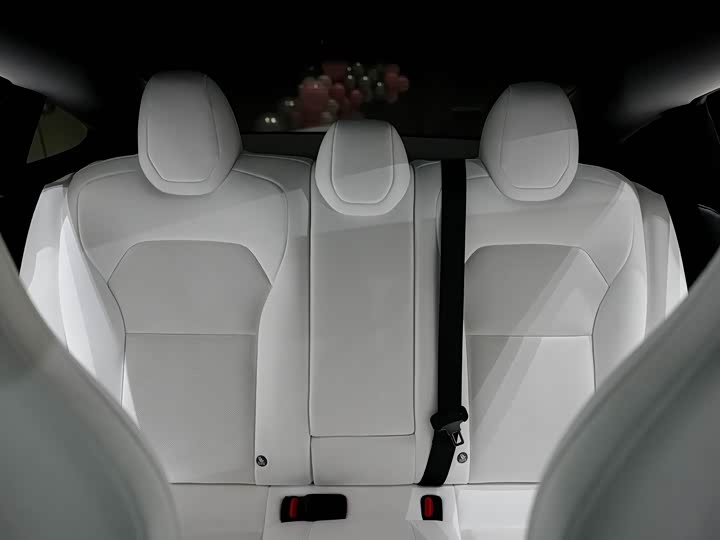 Tesla Model 3 2024 2024款 高性能全轮驱动版