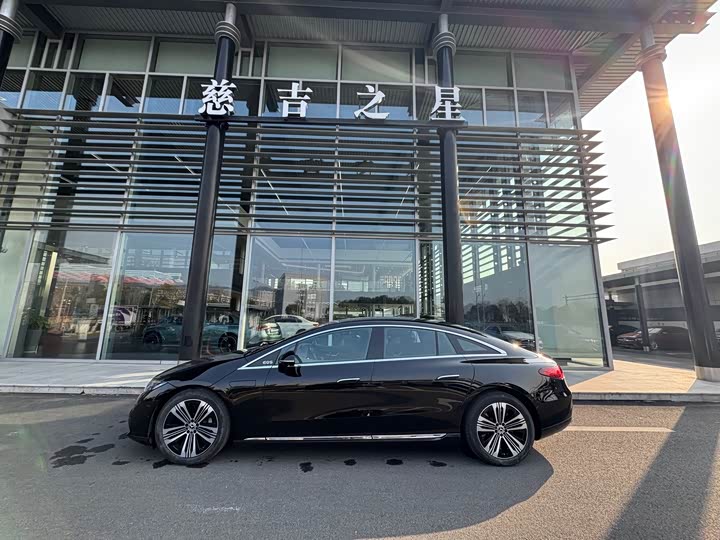 Mercedes-Benz EQS 2023 2023款 450+ 豪华版