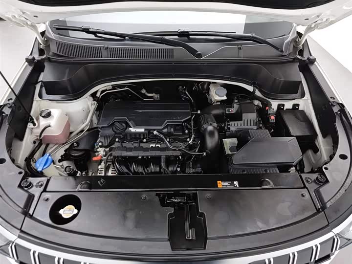 Kia Sportage GT-line 2021 2021款 Ace 2.0L 精彩版