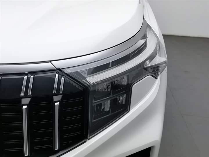 Kia Sportage GT-line 2021 2021款 Ace 2.0L 精彩版