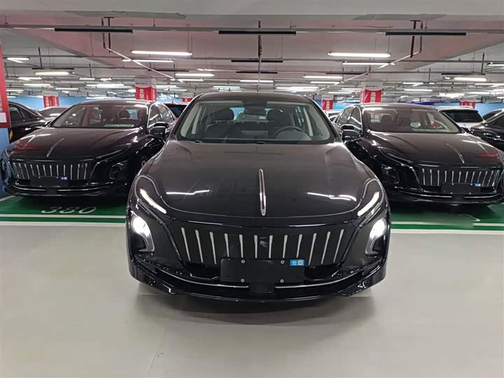 Hongqi E-QM5 2024 2024款 500km 出行版