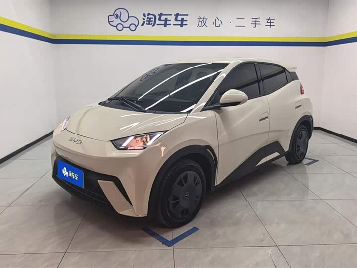 BYD Seagull 2025 2025款 305km 活力版