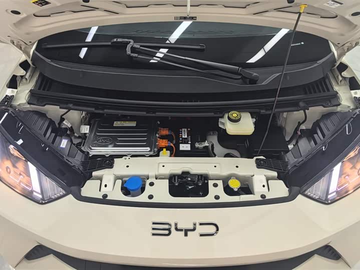 BYD Seagull 2025 2025款 305km 活力版