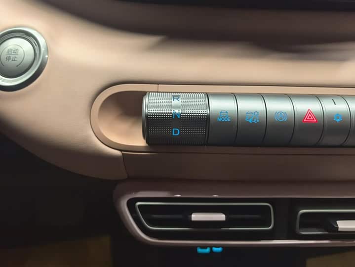 BYD Seagull 2025 2025款 305km 活力版