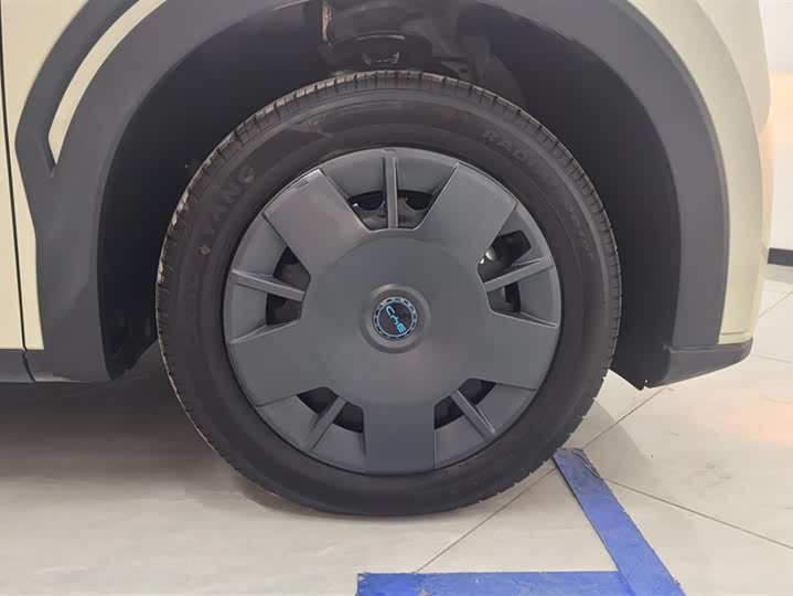 BYD Seagull 2025 2025款 305km 活力版