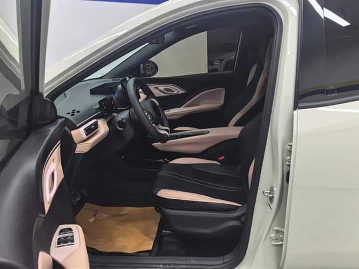 BYD Seagull 2025 2025款 305km 活力版