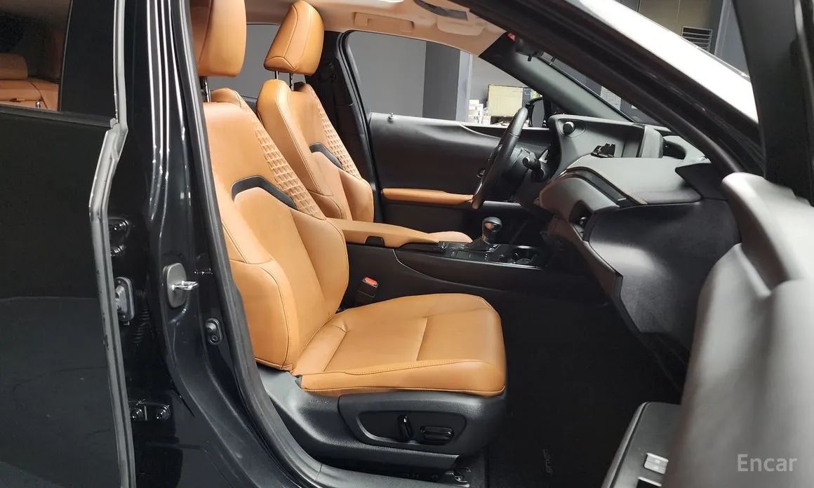 Lexus UX 2019 2.0 2WD