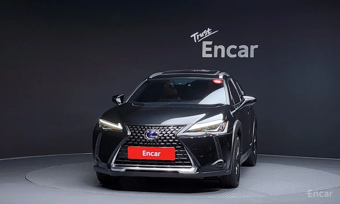 Lexus UX 2019 2.0 2WD